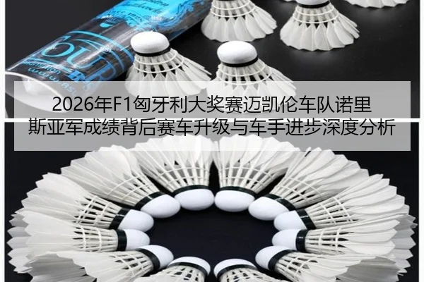2026年F1匈牙利大奖赛迈凯伦车队诺里斯亚军成绩背后赛车升级与车手进步深度分析