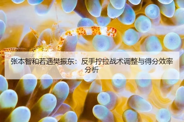 zhang-ben-zhi-he-ruo-yu-fan-zhen-dong-fan-shou-ning-la-zhan-shu-tiao-zheng-yu-de-fen-xiao-lv-fen-xi-1-305.jpg